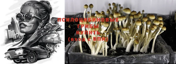 гидропоника Балахна